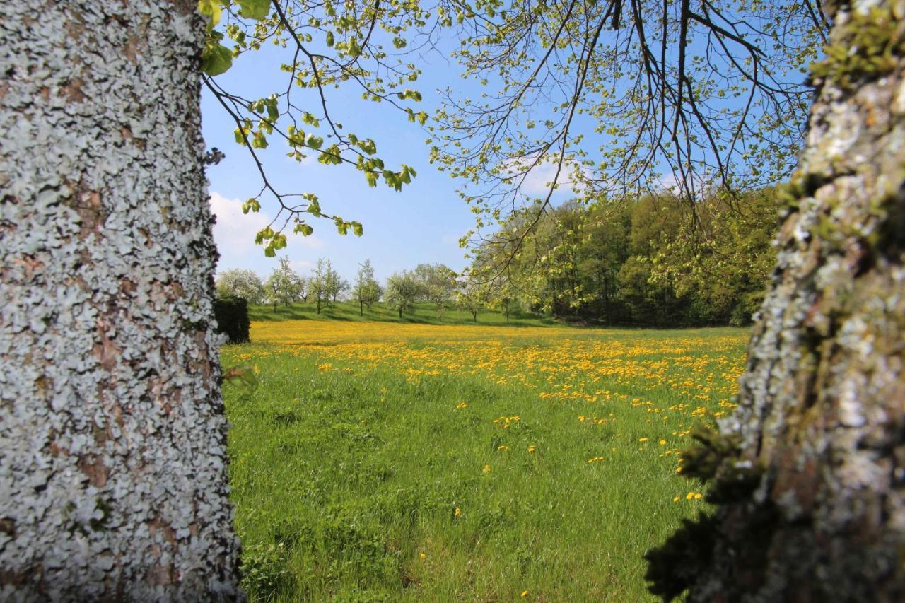 Gutshof Andres Hotell Kirchlauter Exteriör bild